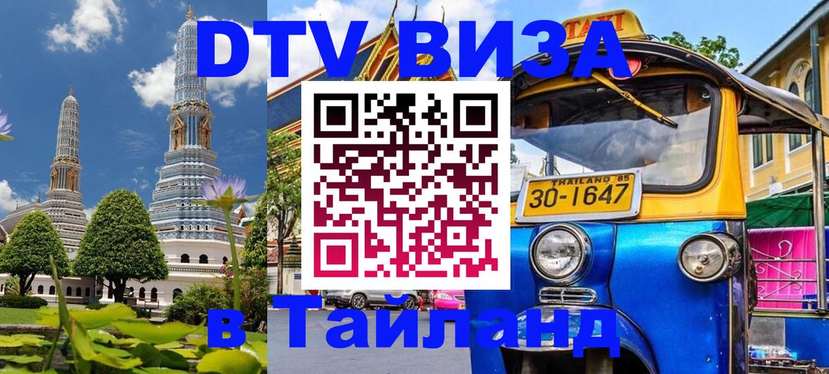 Оформление DTV визы под ключ: стоимость и тарифы, только загранпаспорт - 19.11.2025 